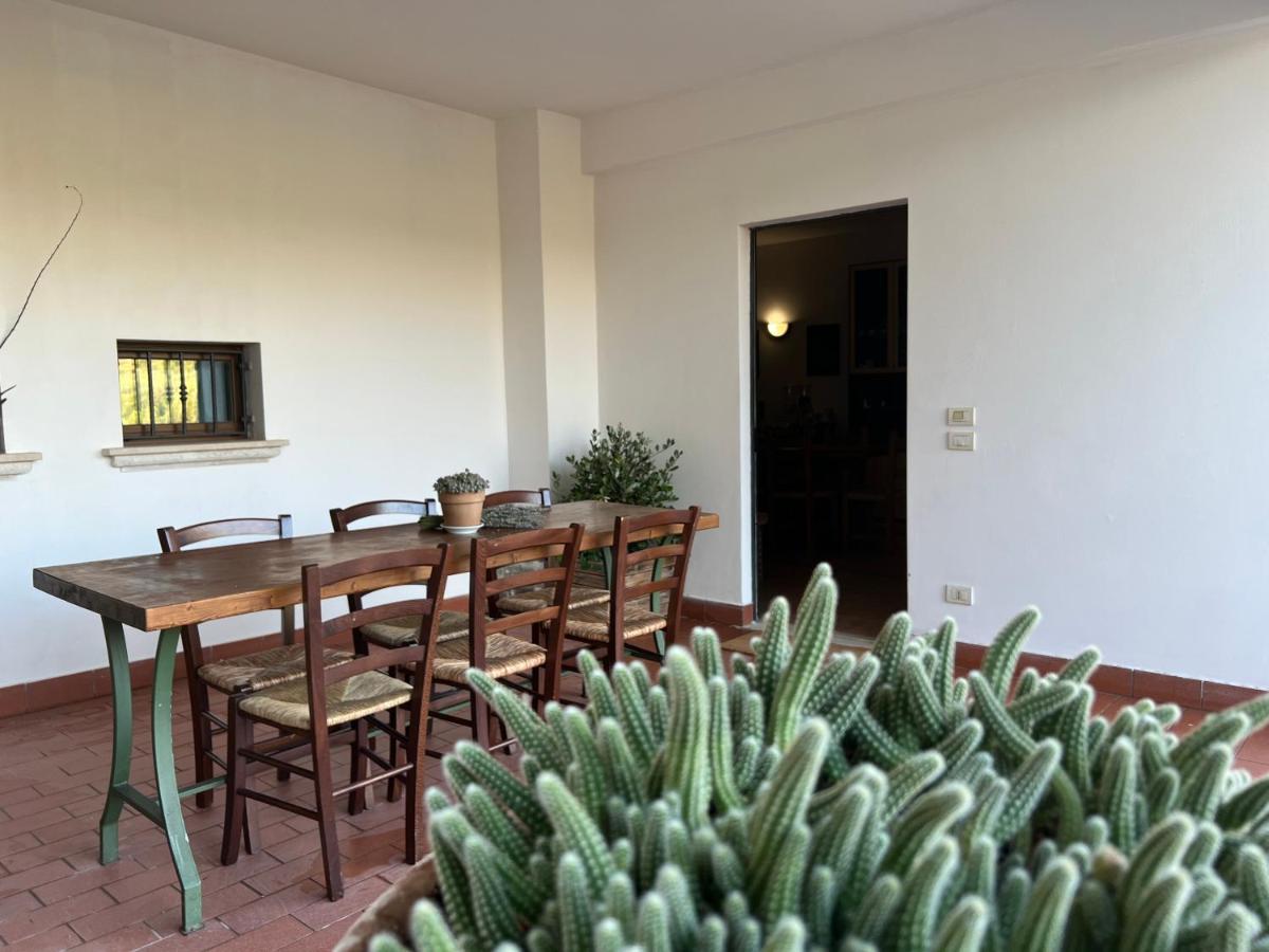 La Casa Di Demetra. Un Paradiso Tra Gli Olivi. Montecchio  Zewnętrze zdjęcie