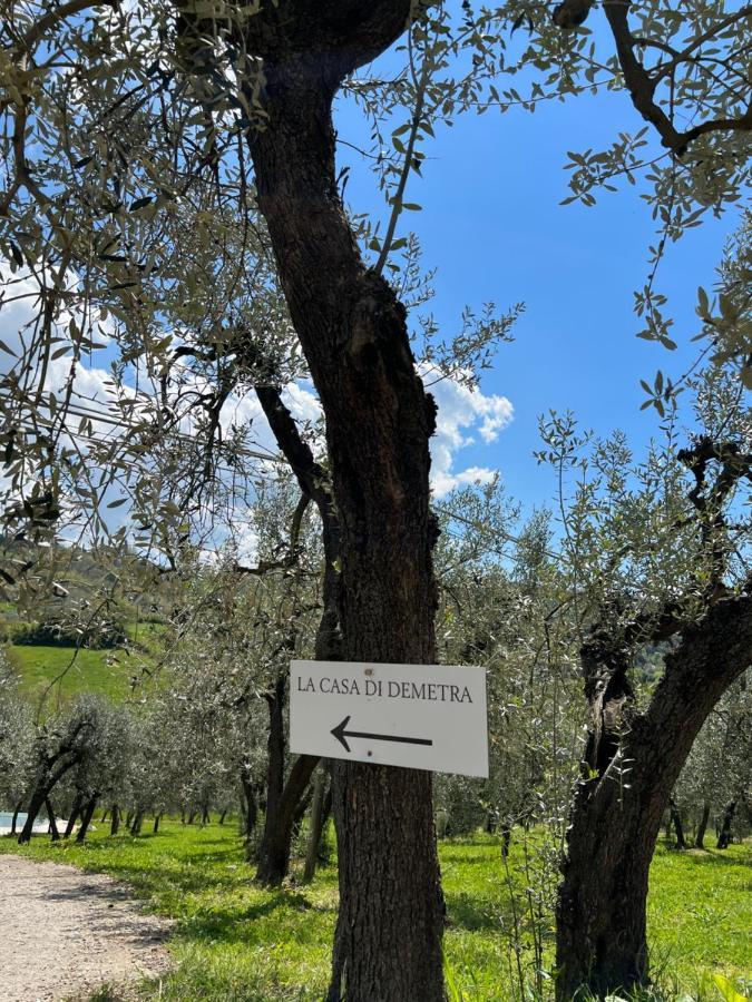 La Casa Di Demetra. Un Paradiso Tra Gli Olivi. Montecchio  Zewnętrze zdjęcie